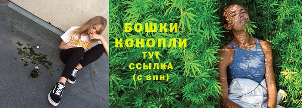 Альфа ПВП Осташков